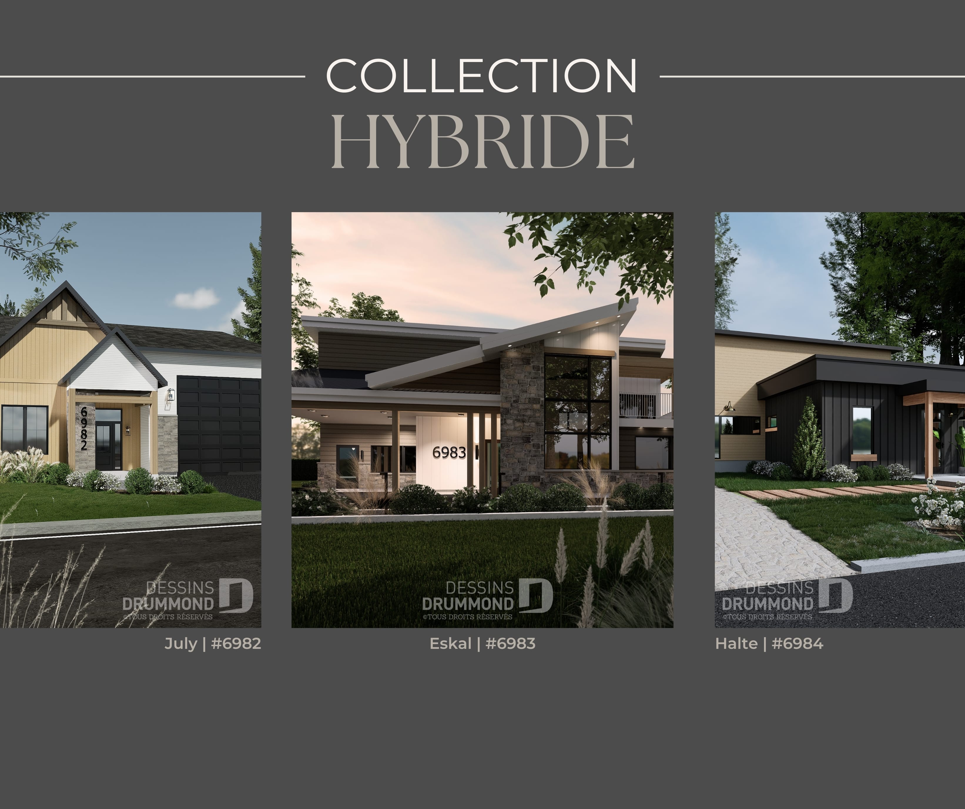 1 - Collection hybride